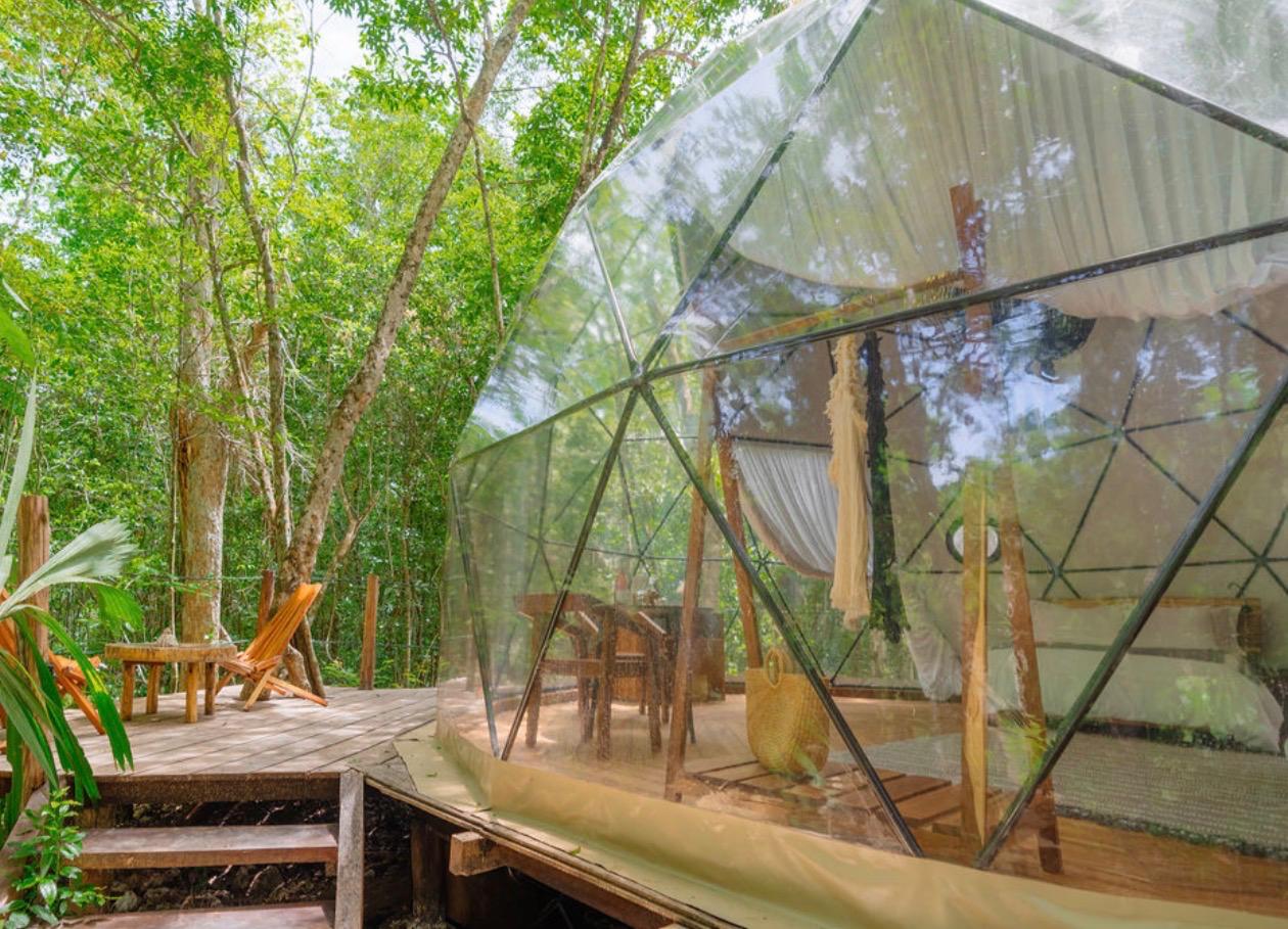 Exterior · deck de madera entre la vegetación